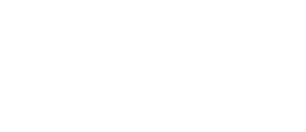 Logo Blanc David